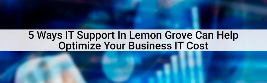 5 Ways IT Support In Lemon Grove Can Help Optimize Your Business IT Cost 