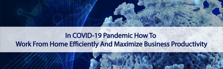 In COVID-19 Pandemic How To Work From Home Efficiently And Maximize Business Productivity