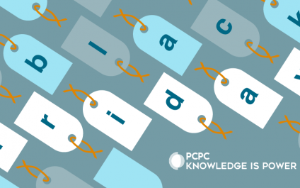 The Real Tech Costs of Black Friday