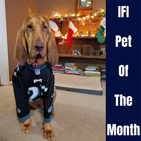 pet-of-the-month