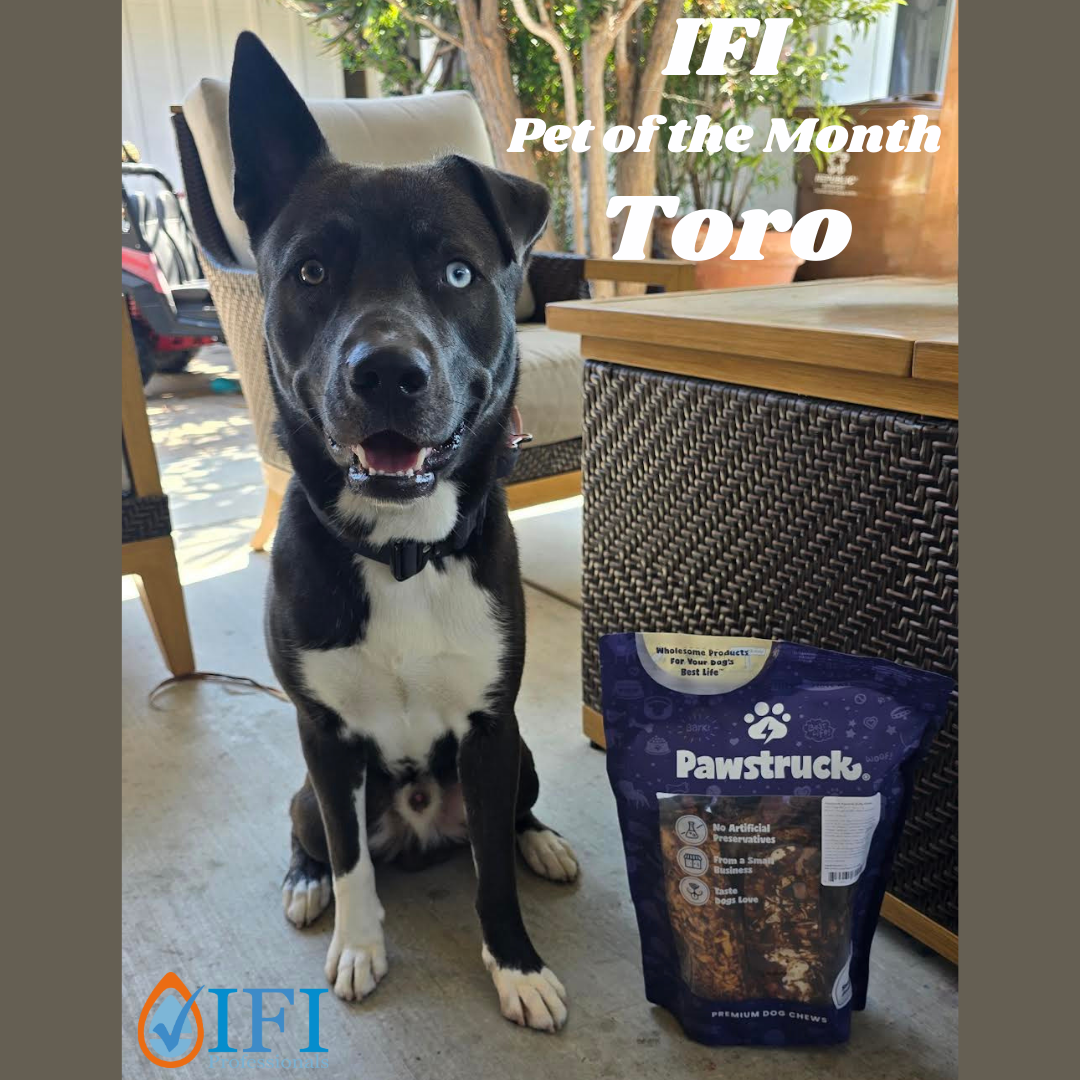 IFI-Pet-of-the-Month