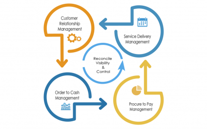 Achieving A Single Financial Truth Requires A Standard Design That Uses A Modern Accounting System As The Brain