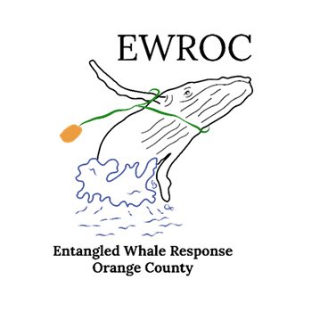 Entangled Whale Response Orange County