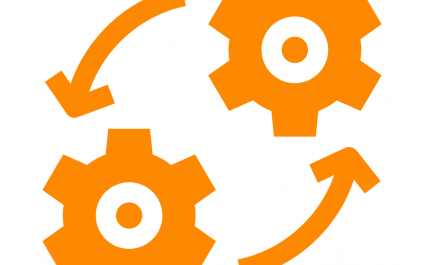 INTEGRATION MANAGEMENT