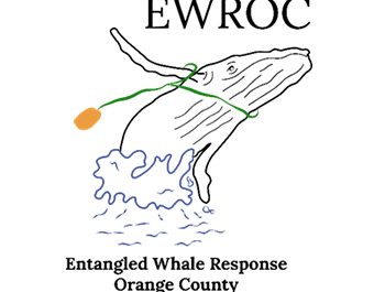Entangled Whale Response Orange County