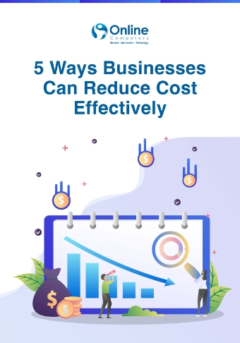 LD-OnlineComputers-5Ways-businesses-can-reduce-cost-effectively-Cover