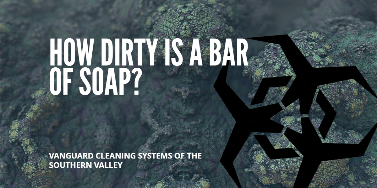 Cleaning Services Questions: How Dirty is a Bar of Soap - Fresno CA