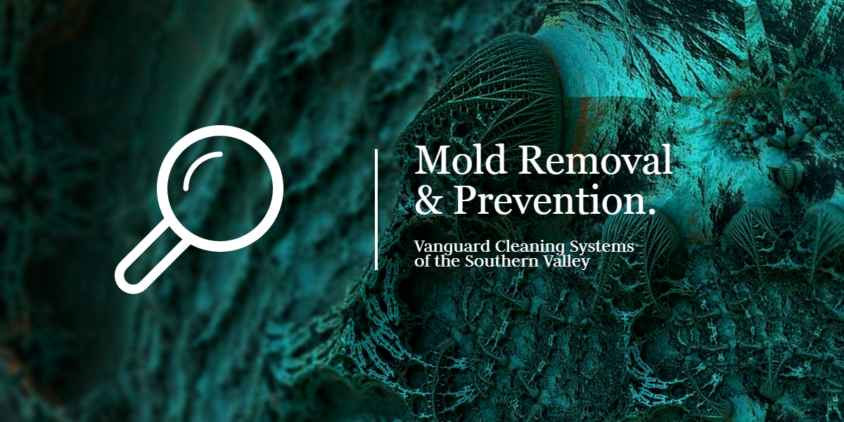 Cleaning-Services-and-Mold-Removal-and-Prevention-Valencia-CA-1