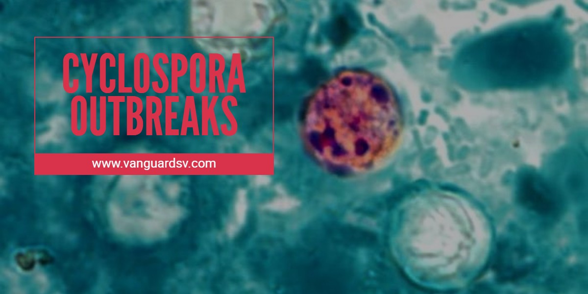 Green Cleaning Services for Cyclospora Outbreaks - Bakersfield CA