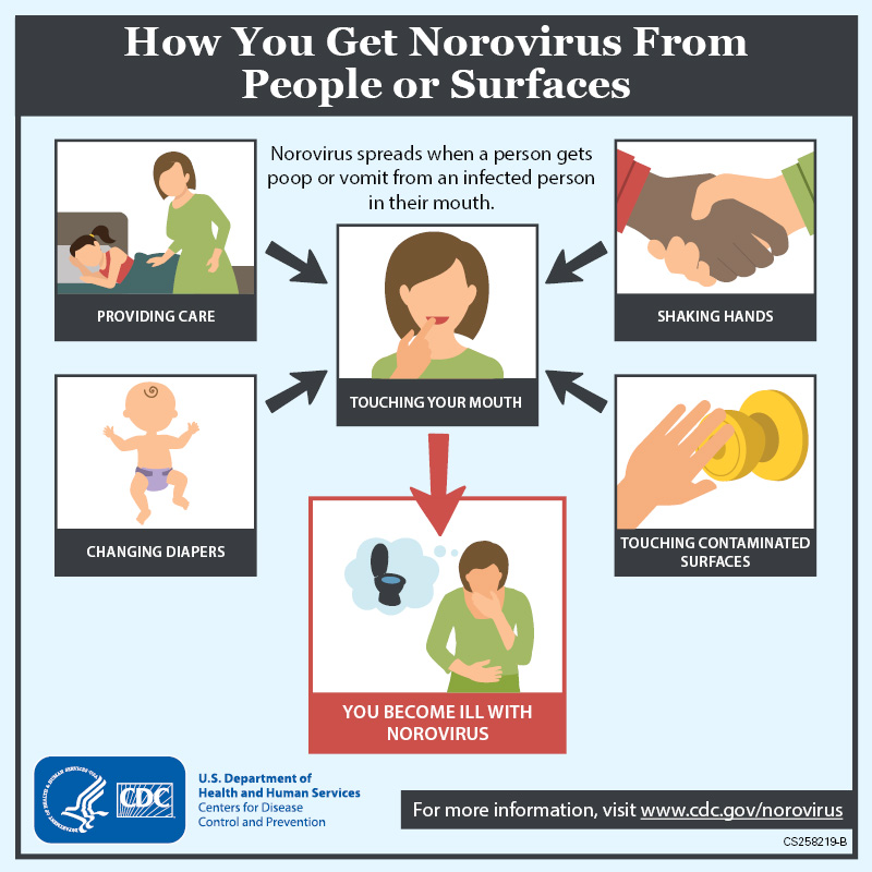 How to get Norovirus From People or Surfaces