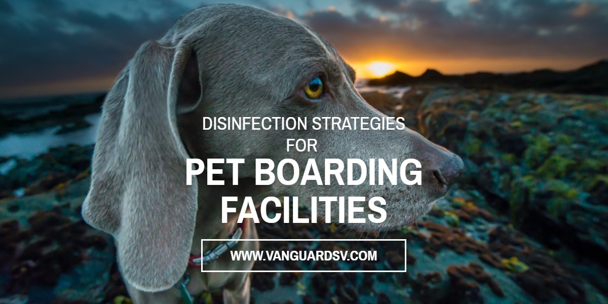 Janitorial Services and Disinfection Strategies for Pet Boarding Facilities - Fresno CA
