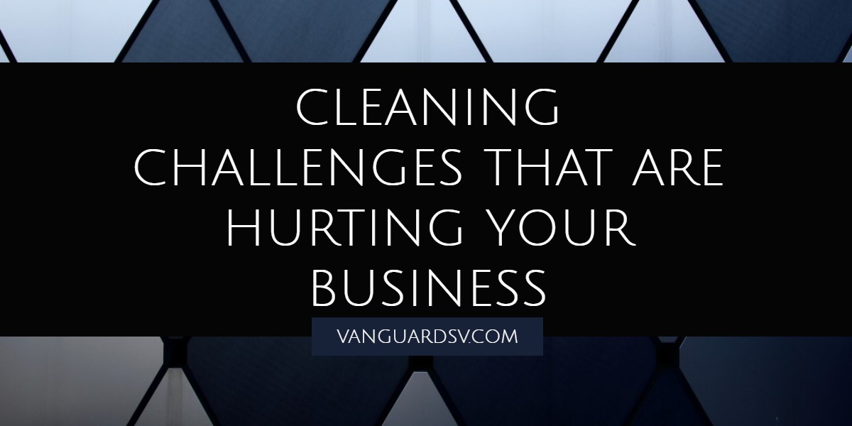 Janitorial Services for Challenges that are Killing your Business - Valencia CA