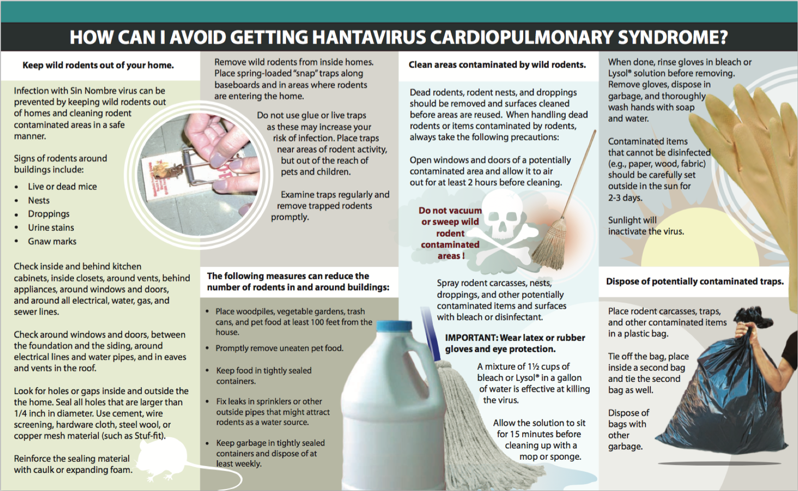 How Can I Avoid Getting Hantavirus Cardiopulmonary Syndrome?