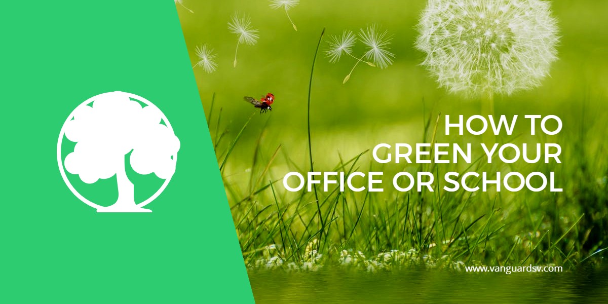 How to Green Your Office or Classroom