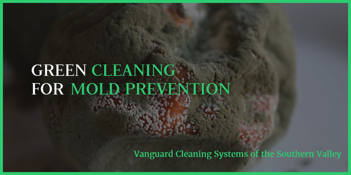 Green Cleaning for Mold Prevention