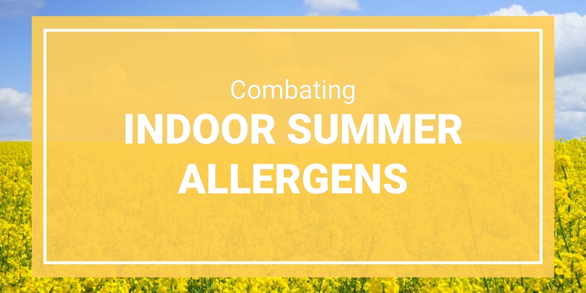 Combating Indoor Summer Allergens