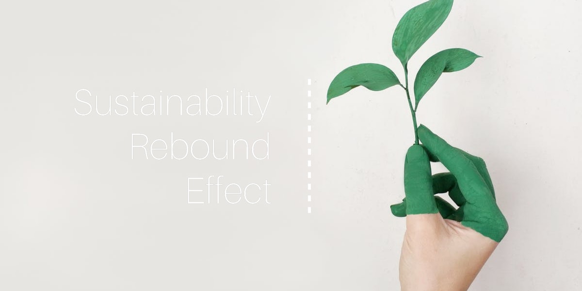 Sustainability Rebound Effect