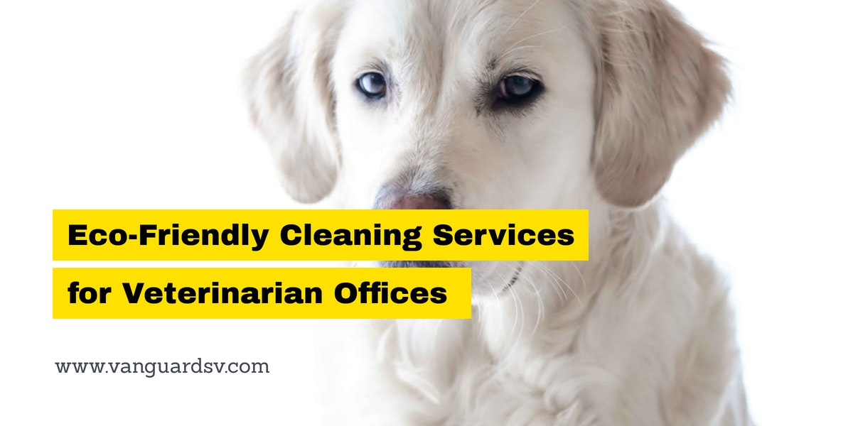 Eco-Friendly Cleaning Services for Veterinarian Offices