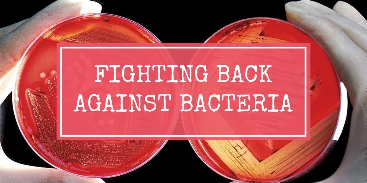 Fighting Back Against Bacteria