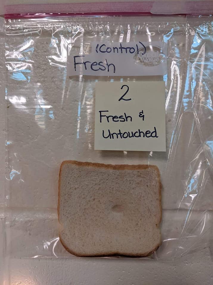 Hand Hygiene Experiment - Fresh and Untouched