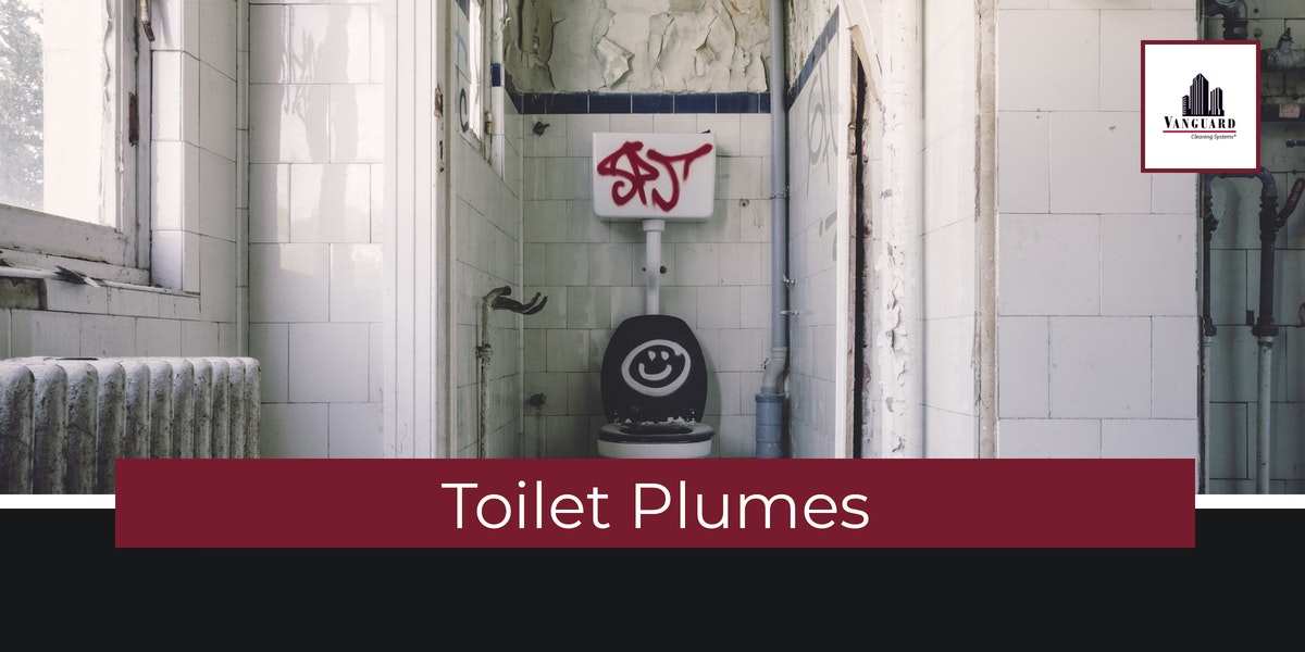 Toilet Plumes