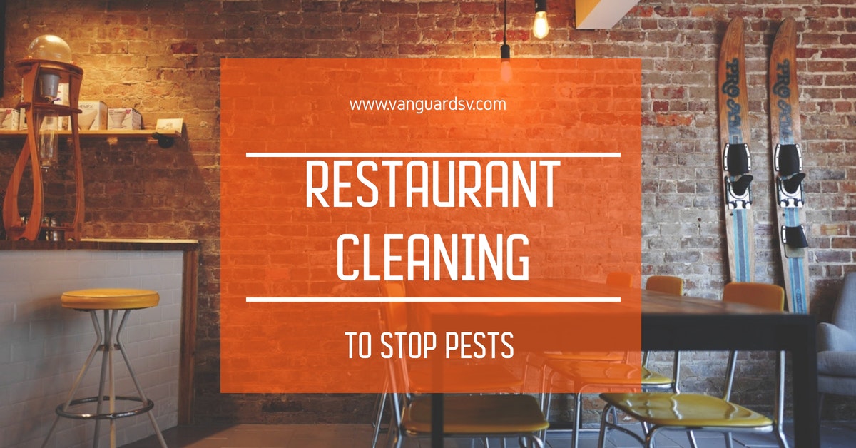 Restaurant Cleaning to Stop Pests - Palmdale, Lancaster, Bakersfield, Fresno, Valencia