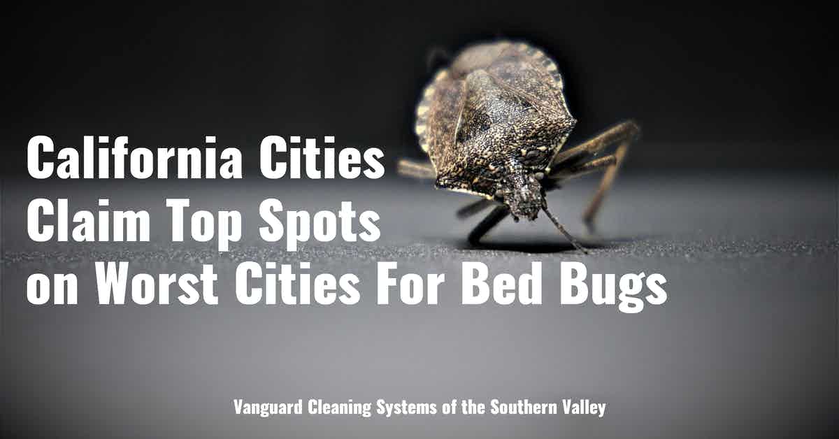 California Cities Claim Top Spots on Worst Cities For Bed Bugs