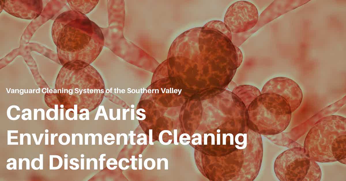 Candida Auris Environmental Cleaning and Disinfection