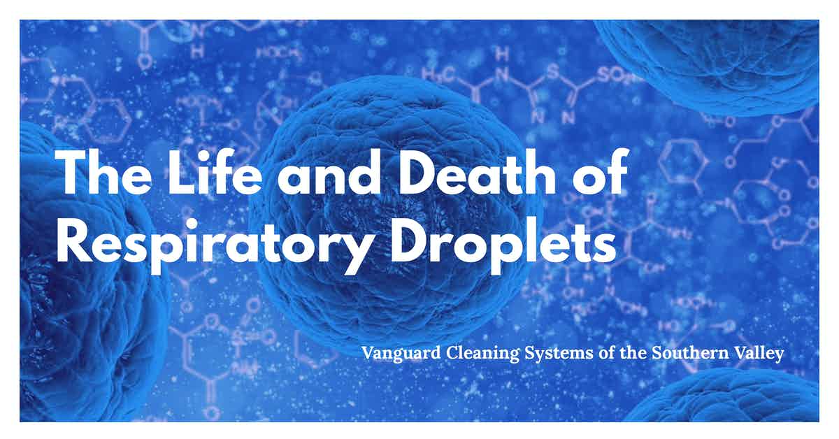 The Life and Death of Respiratory Droplets