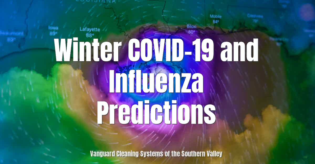 Winter COVID-19 and Influenza Predictions