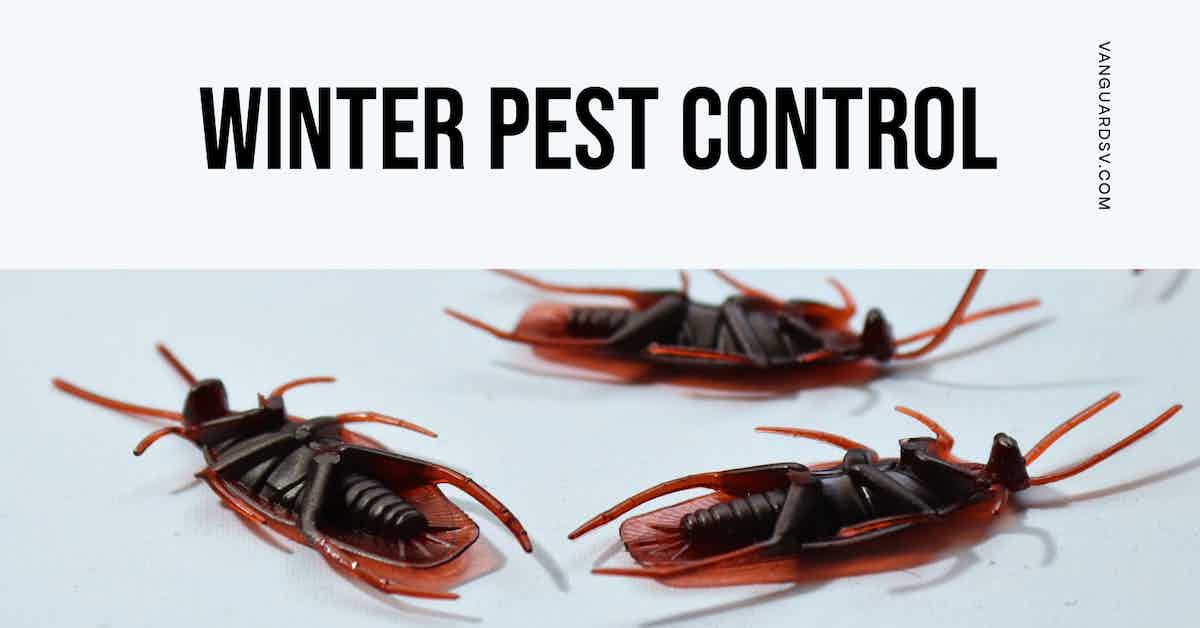Winter Pest Control