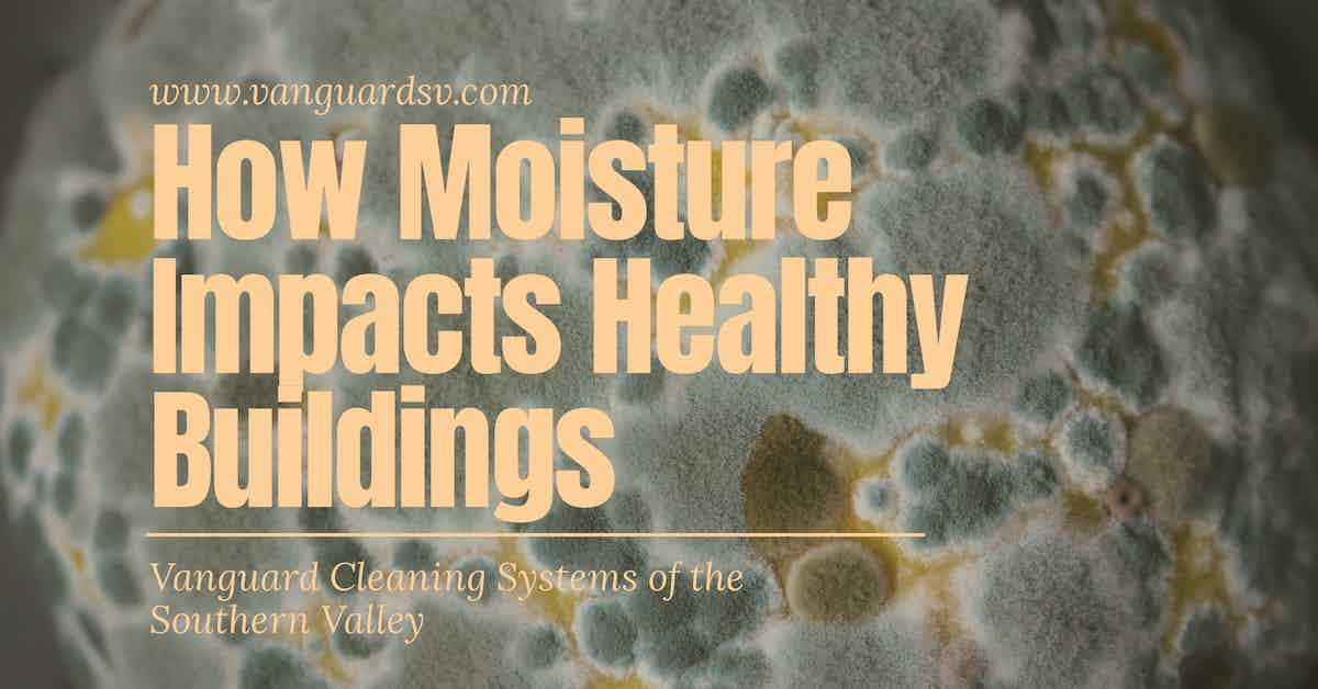 How Moisture Impacts Healthy Buildings