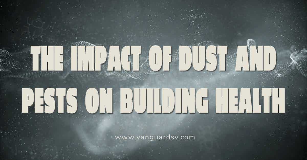 The Impact of Dust and Pests on Building Health