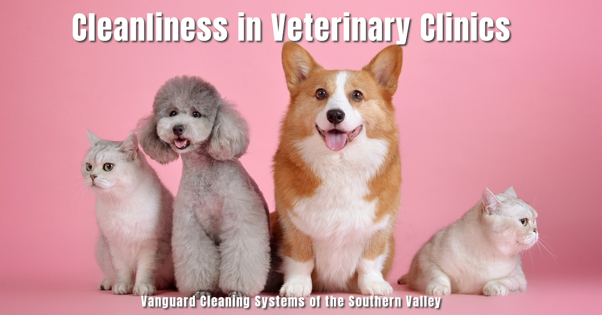 Cleanliness in Veterinary Clinics