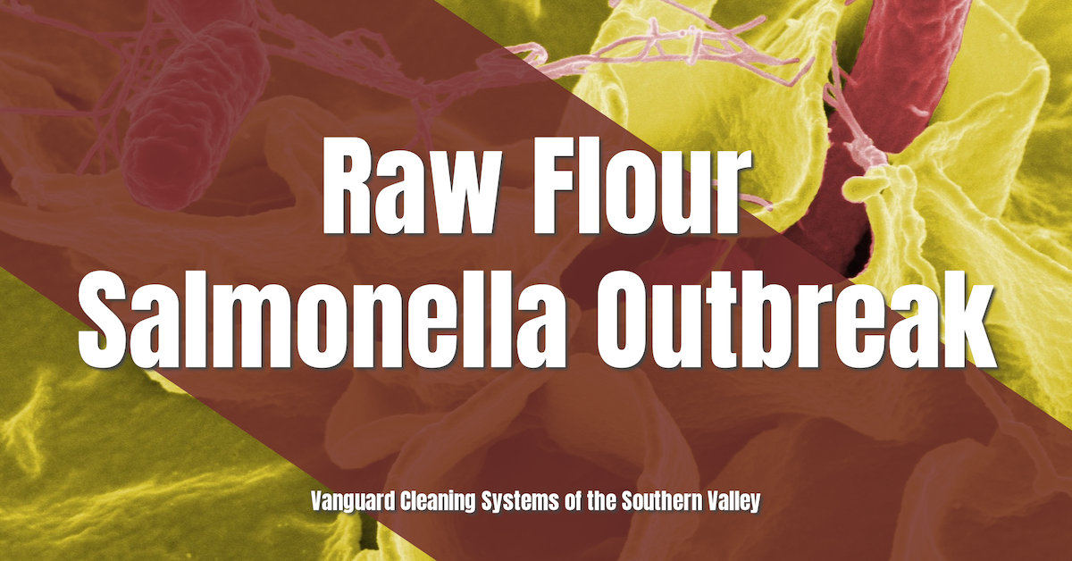 Raw Flour Salmonella Outbreak