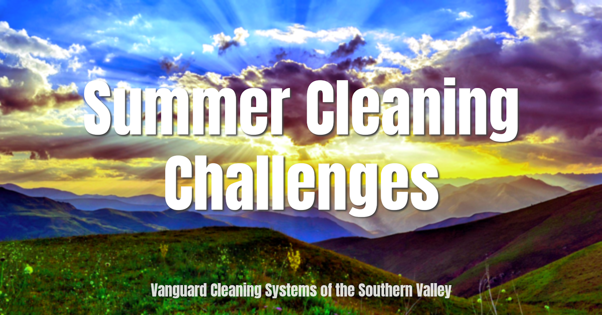 Summer Cleaning Challenges