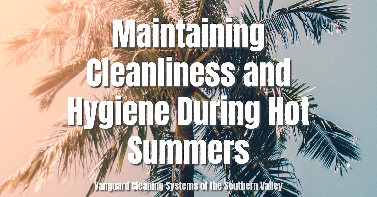 Maintaining Cleanliness and Hygiene During Hot Summers