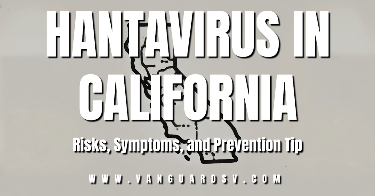 Hantavirus in California: Risks, Symptoms, and Prevention Tips