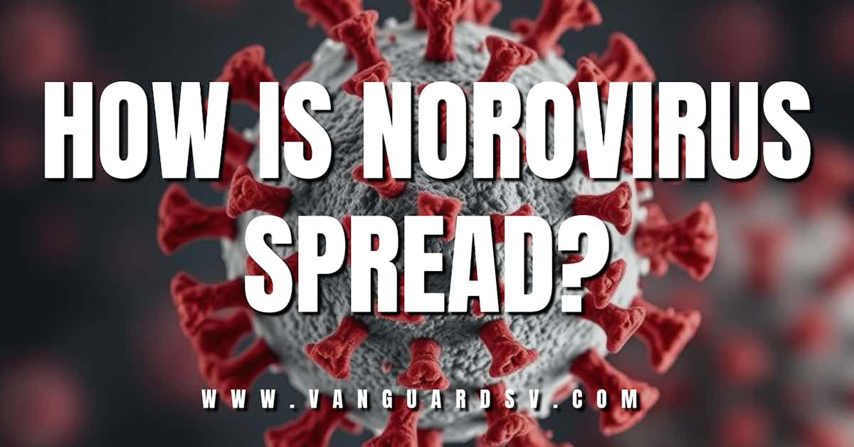 How is Norovirus Spread?