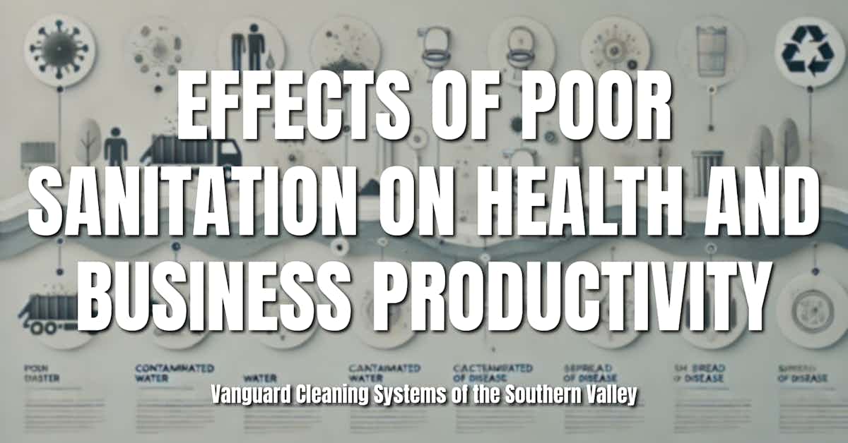 Effects of Poor Sanitation on Health and Business Productivity