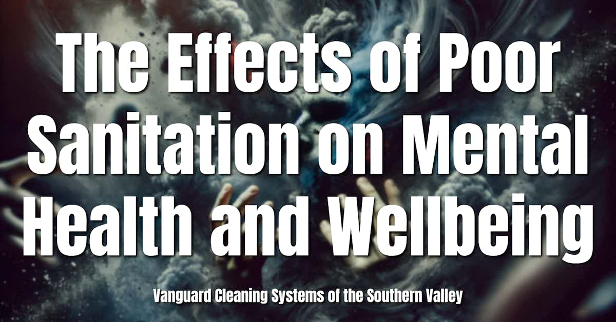 The Effects of Poor Sanitation on Mental Health and Wellbeing