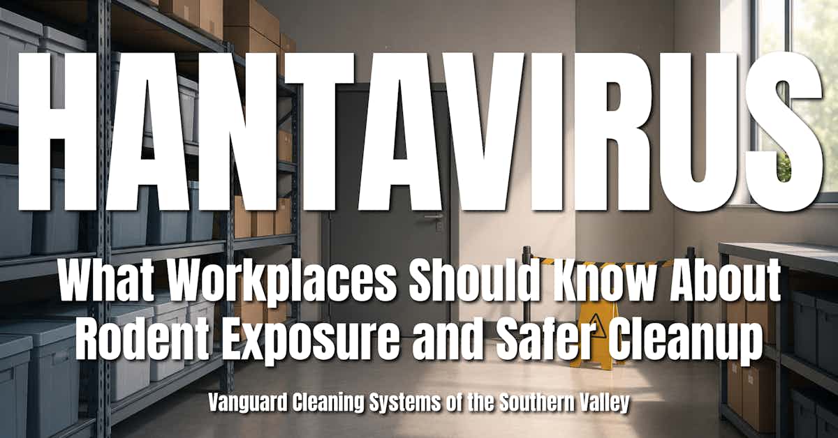 Hantavirus What Workplaces Should Know About Rodent Exposure and Safer Cleanup