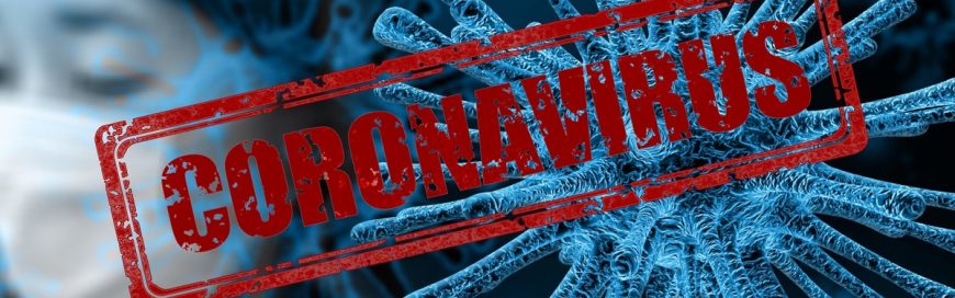 NOUVEAU CORONAVIRUS 2019 NCOV visual data 3