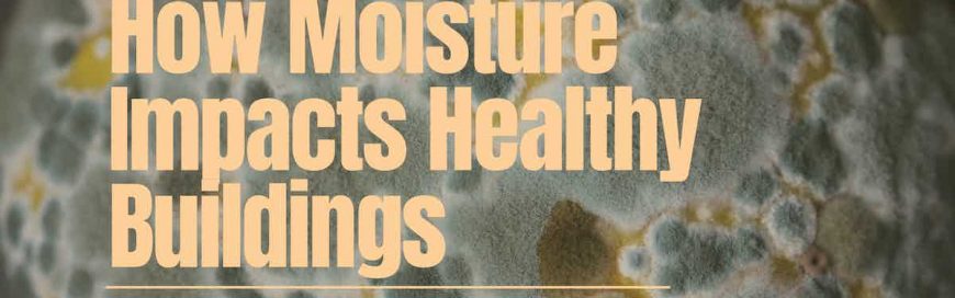 How Moisture Impacts Healthy Buildings