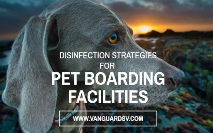 Janitorial Services and Disinfection Strategies for Pet Boarding Facilities