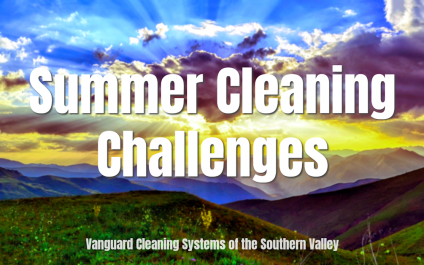 Summer Cleaning Challenges