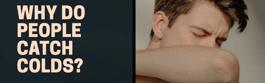 Why Do People Catch Colds?