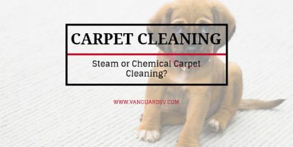 Cleaning Services – Steam or Chemical Carpet Cleaning?