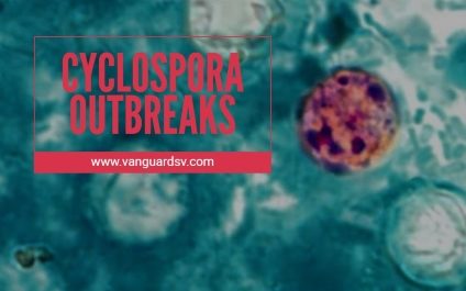 Green Cleaning Services for Cyclospora Outbreaks