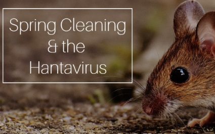 Spring Cleaning and the Hantavirus